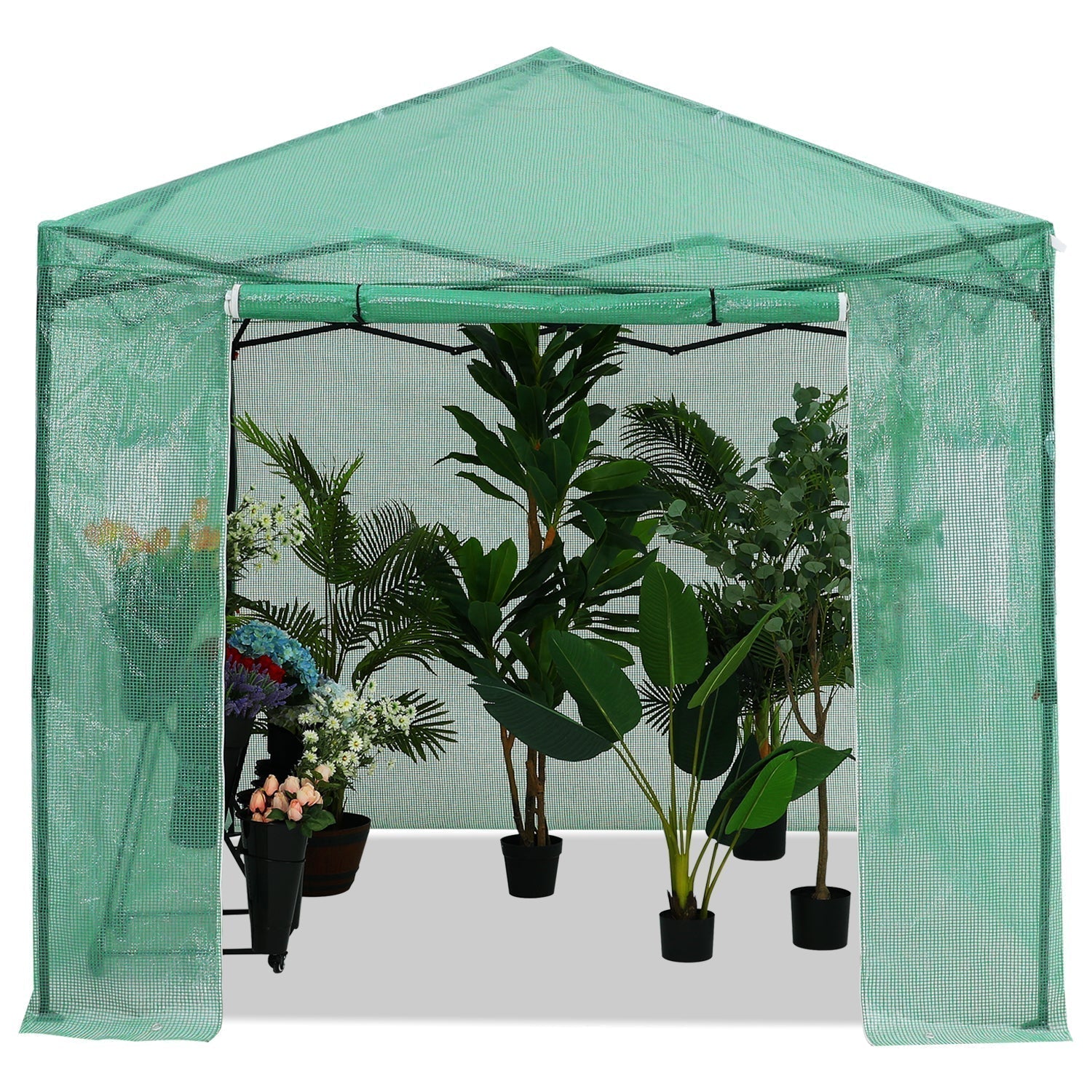 ABCCANOPY Pop-Up Walk-In Greenhouse with Roll-Up Door & Windows for 6x4, 8x6, 8x8