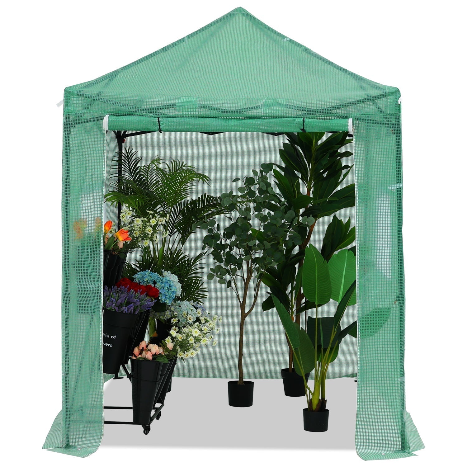 ABCCANOPY Pop-Up Walk-In Greenhouse with Roll-Up Door & Windows for 6x4, 8x6, 8x8